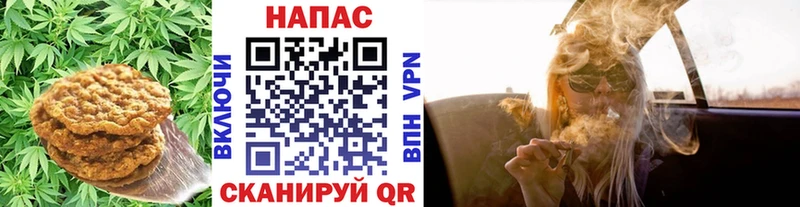 Canna-Cookies конопля Болхов