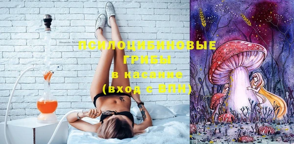 круглые Алзамай