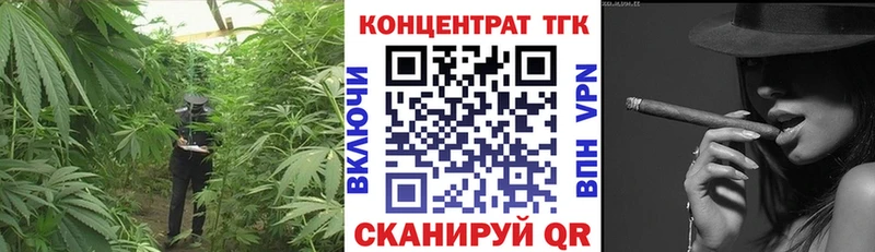 Купить где Болхов ТГК THC oil